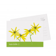 Grußkarten "Floral"