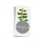 Vorbedrucktes Gewürzetikett "Oregano"