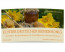 Honigglas-Etiketten "GoldenHoney" (orange) auf Leinenstrukturpapier