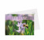 Grußkarten "Lavendel" lila