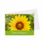 Grußkarten "Sunpower" hellgrün