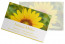 Visitenkarten "Sun-Power" gelb
