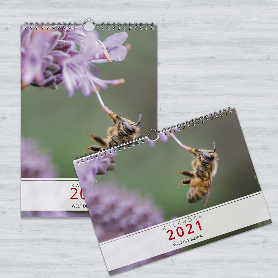 Wandkalender "Welt der Bienen"