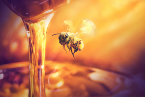 Honig in der Abfüllung und eine Biene fliegt herbei